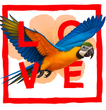 Red parrot - Love