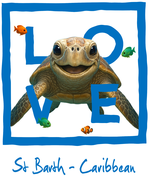 Caribbean Blue Turtle - bottomless