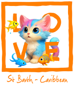 Orange Caribbean Cat