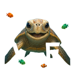 White Turtle LOVE - Bottomless