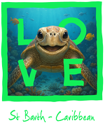 Caribbean Green Turtle