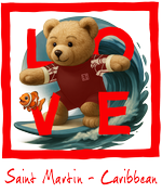 Red Surfing Bear St Martin