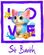 St Barth fluo blue cat