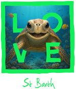 St. Barth Green Turtle