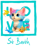 St Barth Turquoise Cat