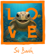 St. Barth Orange Turtle