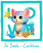 Caribbean turquoise cat