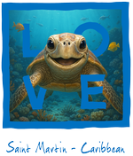 St. Martin blue turtle