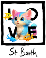 Black Cat St. Barth