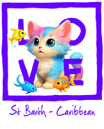 Caribbean fluo blue cat