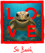 St. Barth Red Turtle