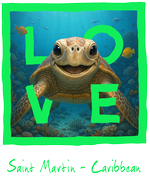 St. Martin Green turtle