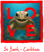Caribbean Red Turtle