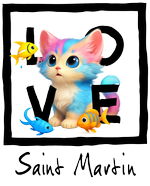 Black Cat Saint Martin